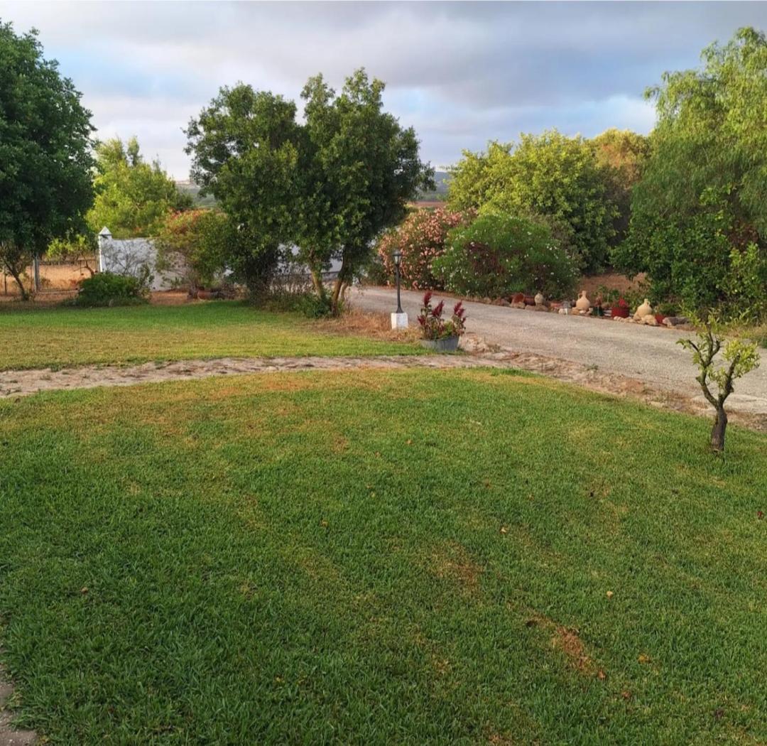 Casa Rural El Nino Santamaria , Con Piscina Y Wifi Vejer de la Frontera Exteriér fotografie
