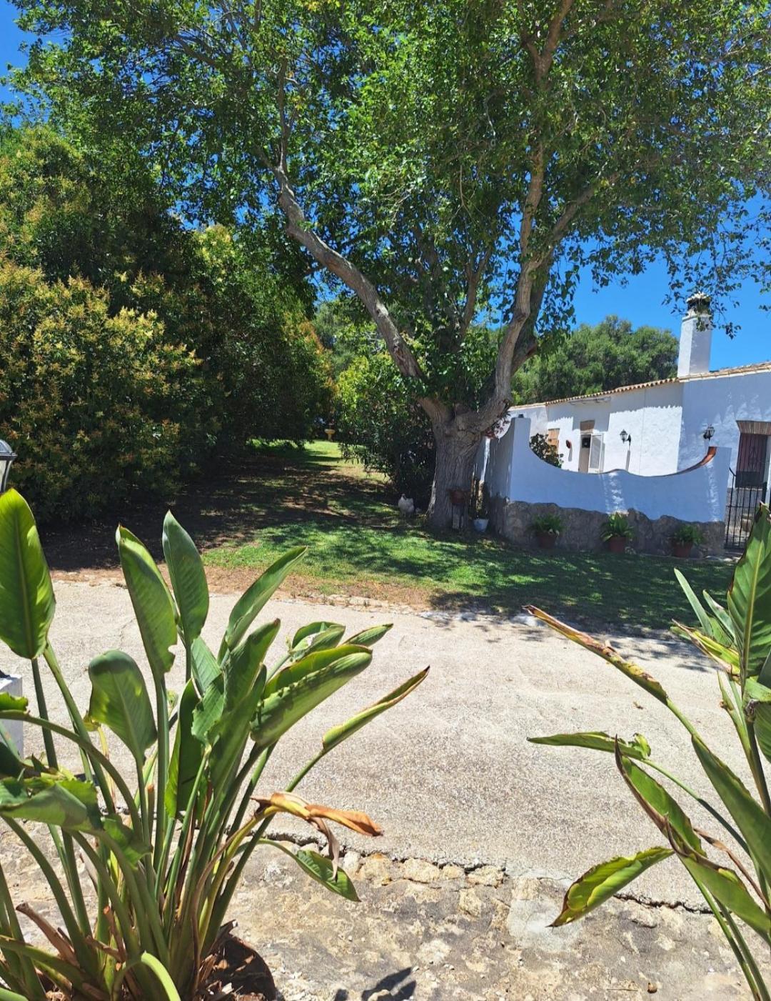 Casa Rural El Nino Santamaria , Con Piscina Y Wifi Vejer de la Frontera Exteriér fotografie
