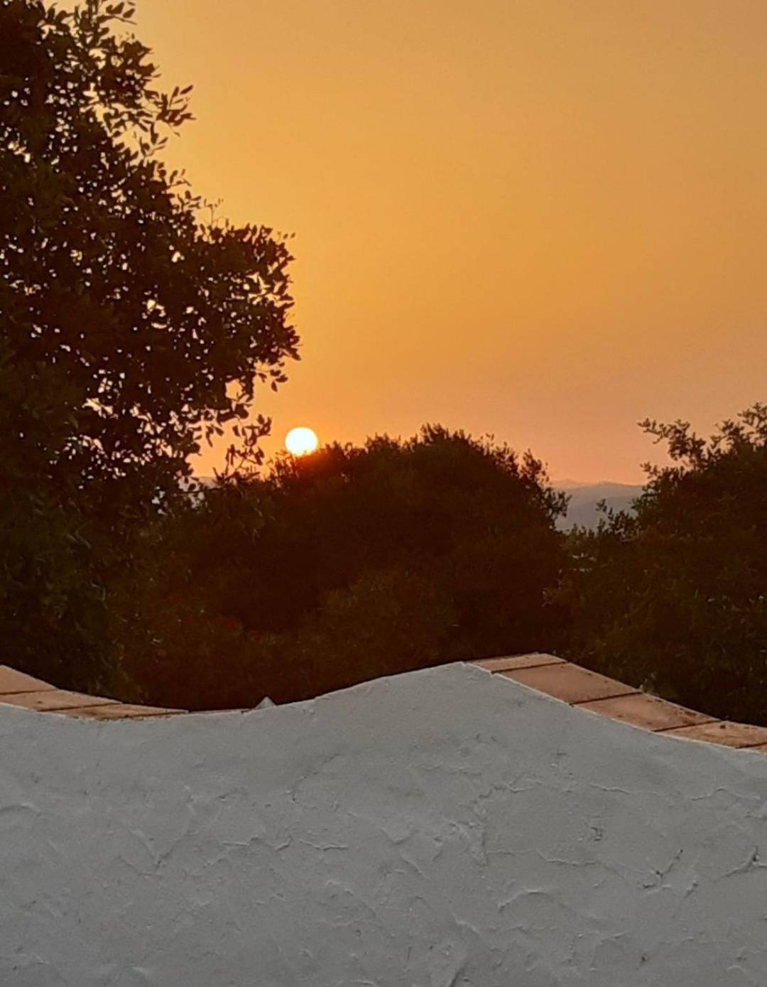 Casa Rural El Nino Santamaria , Con Piscina Y Wifi Vejer de la Frontera Exteriér fotografie